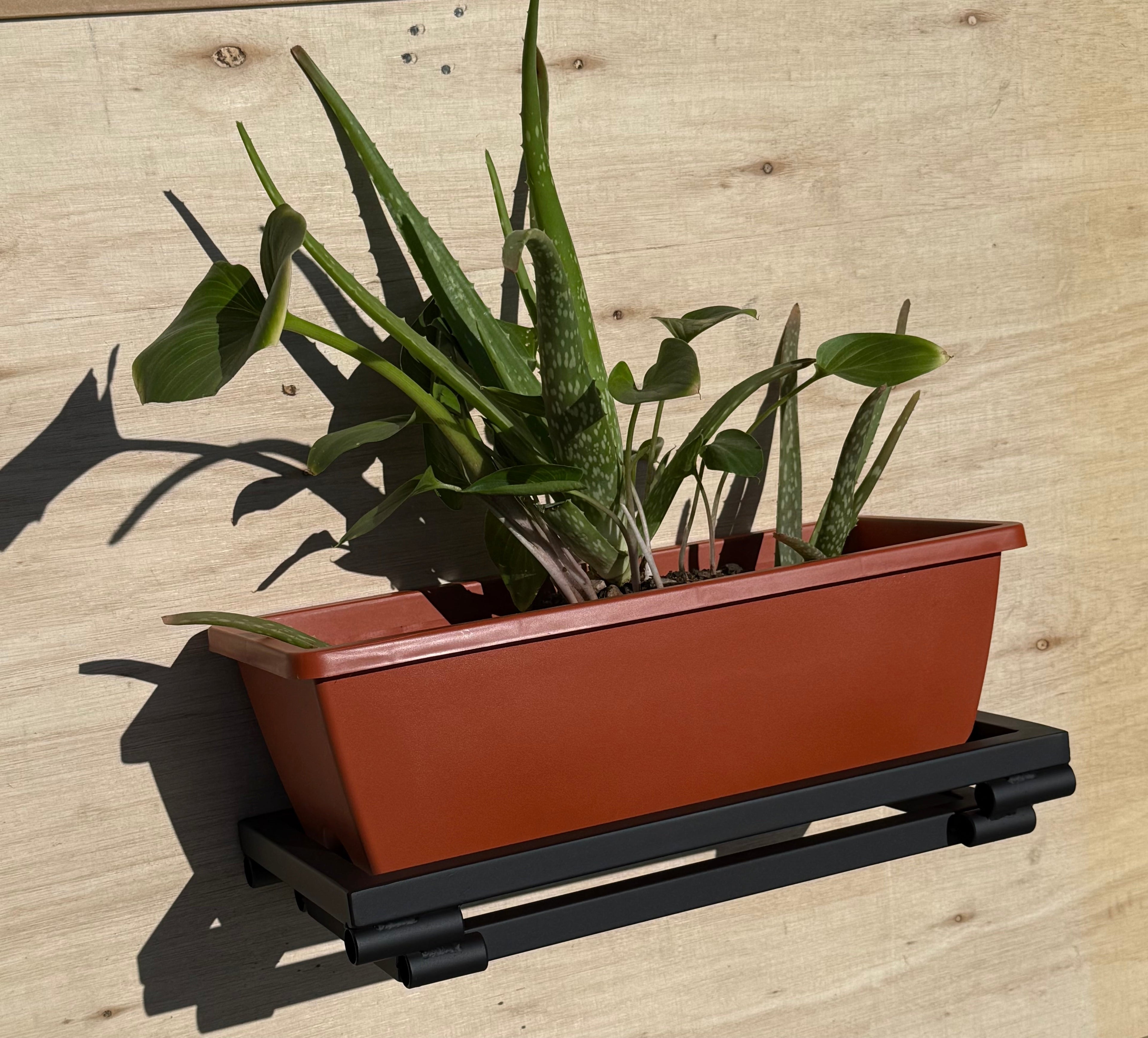 Wall Mounted Planter Ideas to Save Space and Elevate Design
