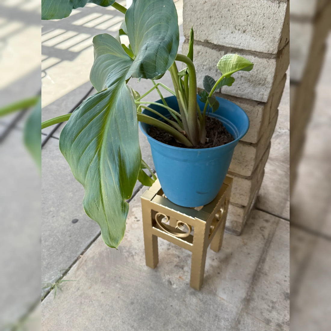 Indoor vs Outdoor Metal Planters: Which One Should You Choose?