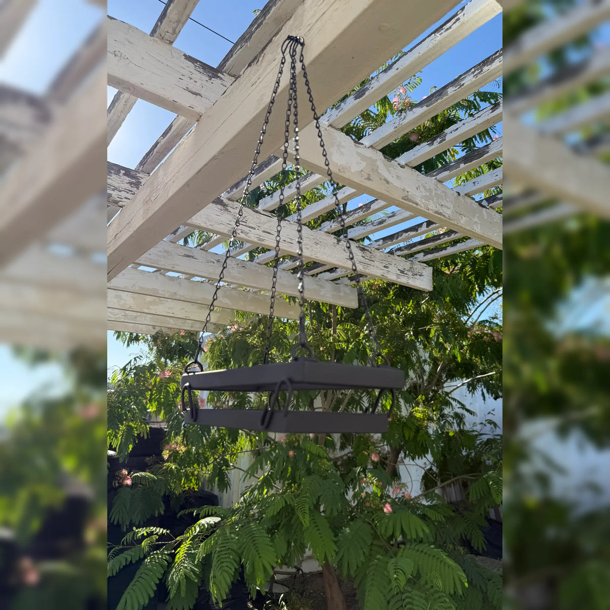 Best Plants for Hanging Steel Planters