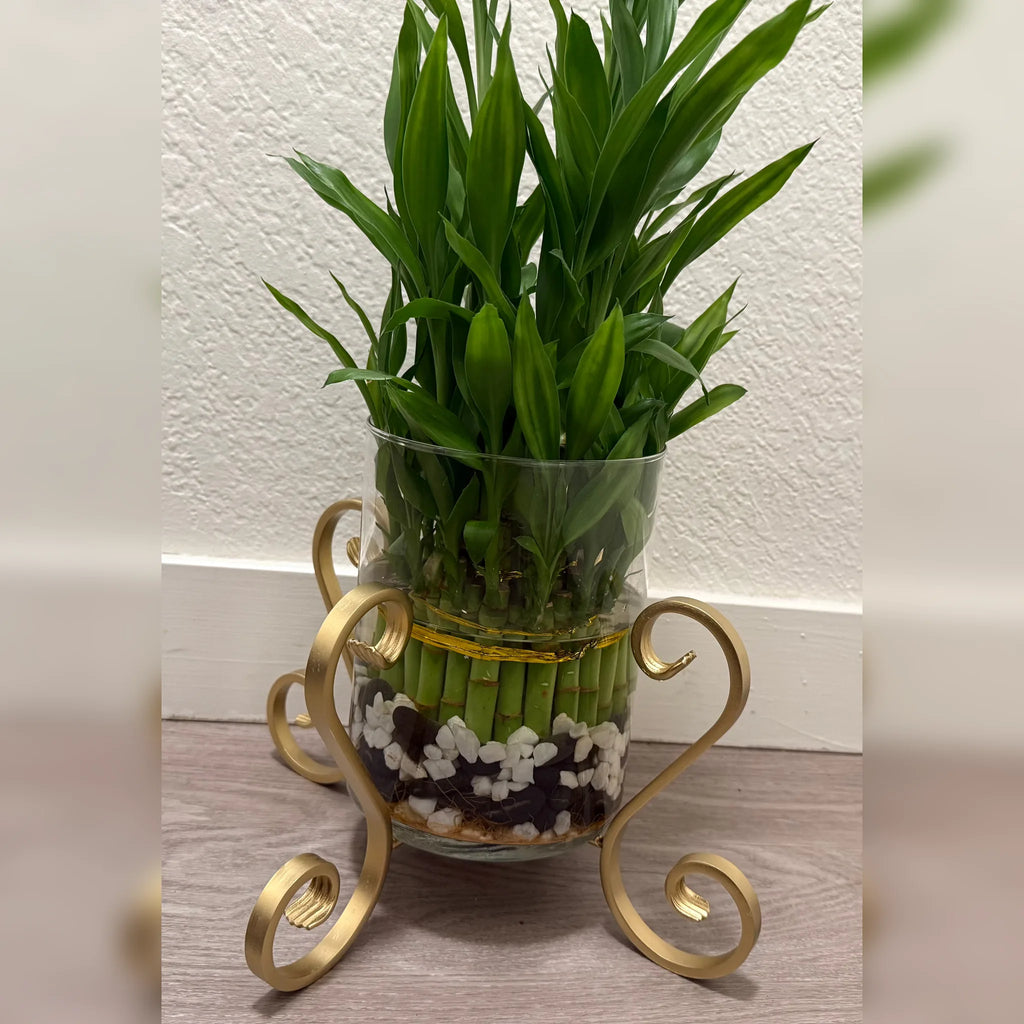 X-Shaped S-Scroll Iron Planter Stand