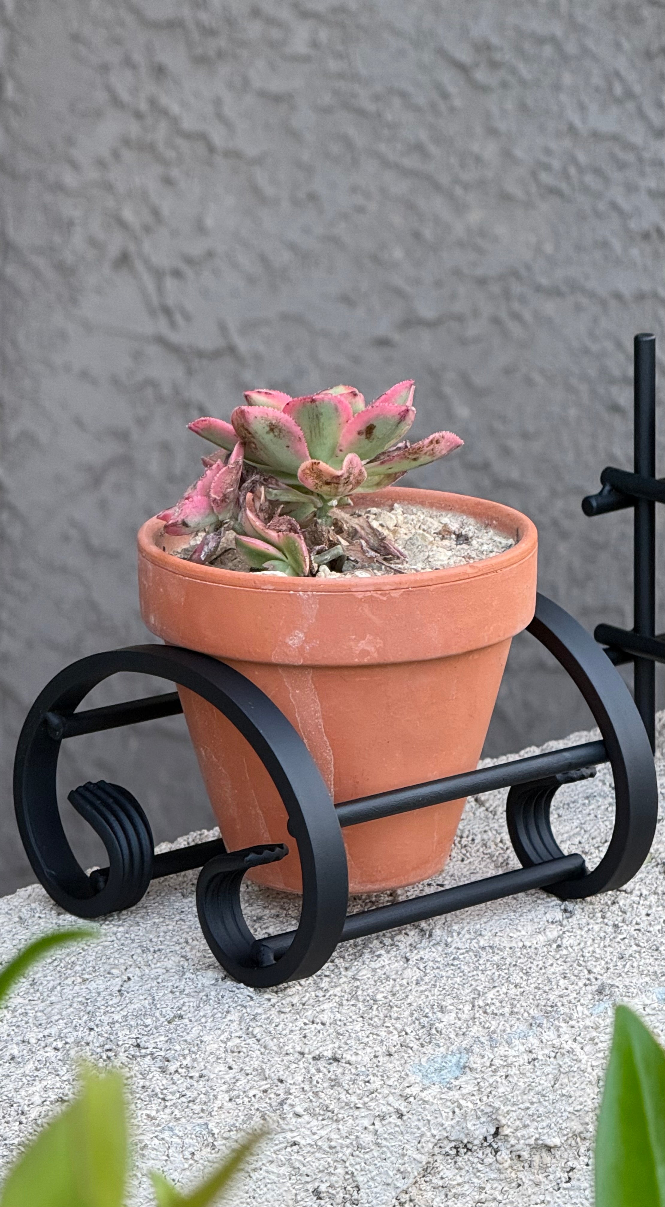 C-Scroll &amp; Iron Rod Terracotta Planter Stand with Terracotta Pot Included – Handcrafted Metal Plant Stand | Flat Black | Made in the USA