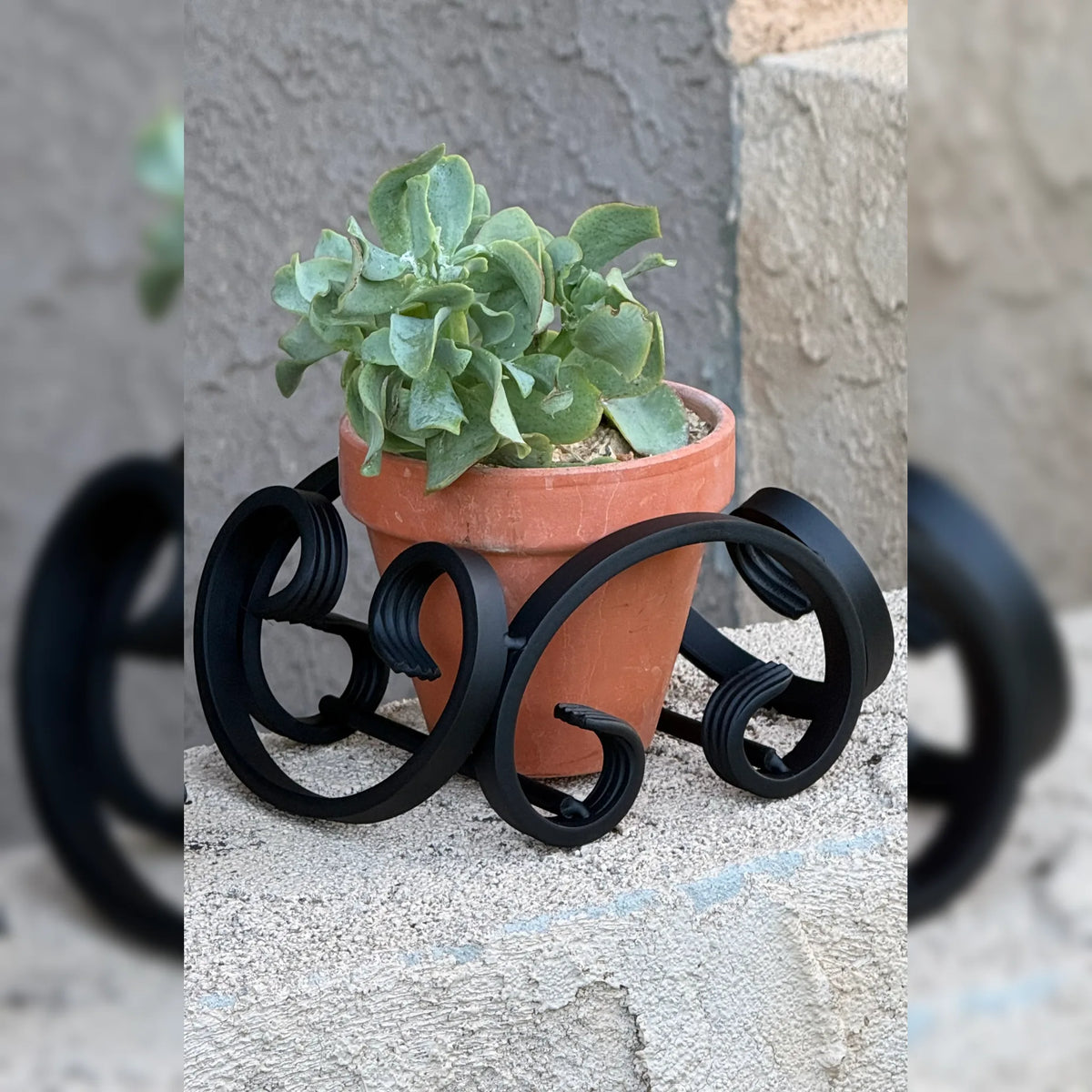 Full C-Scroll Terracotta Metal Plant Stand