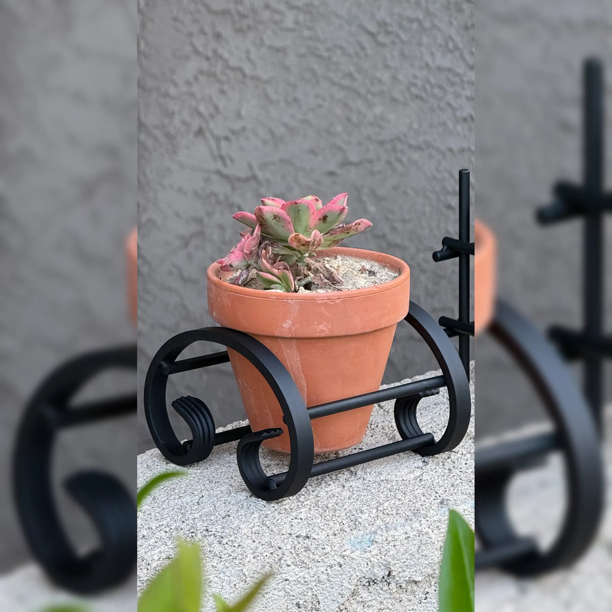 Semi C-Scroll Terracotta Metal Plant Stand