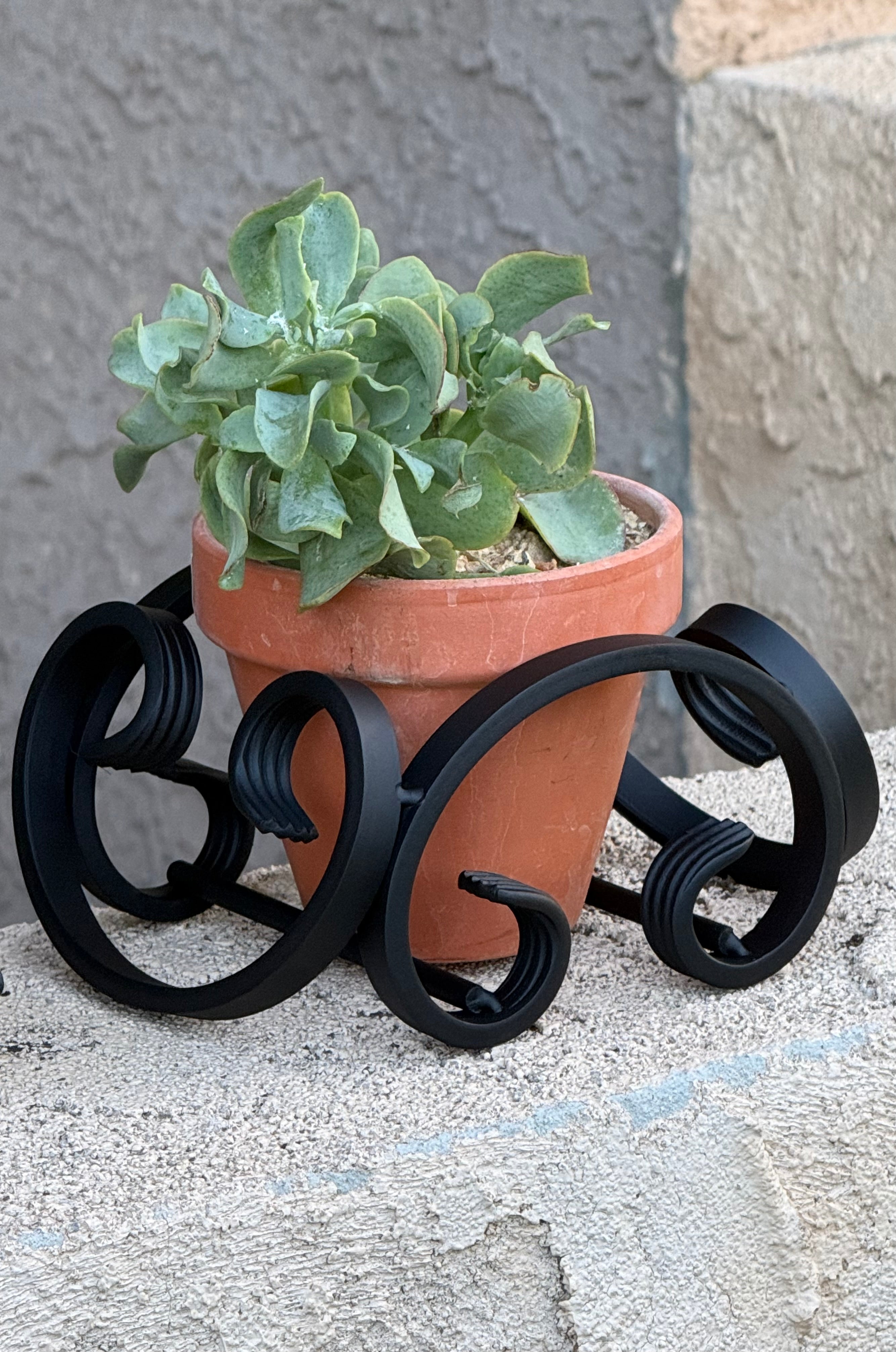 C-Scroll Terracotta Planter Stand with Terracotta Pot Included – Handcrafted Metal Plant Stand | Flat Black | Made in the USA