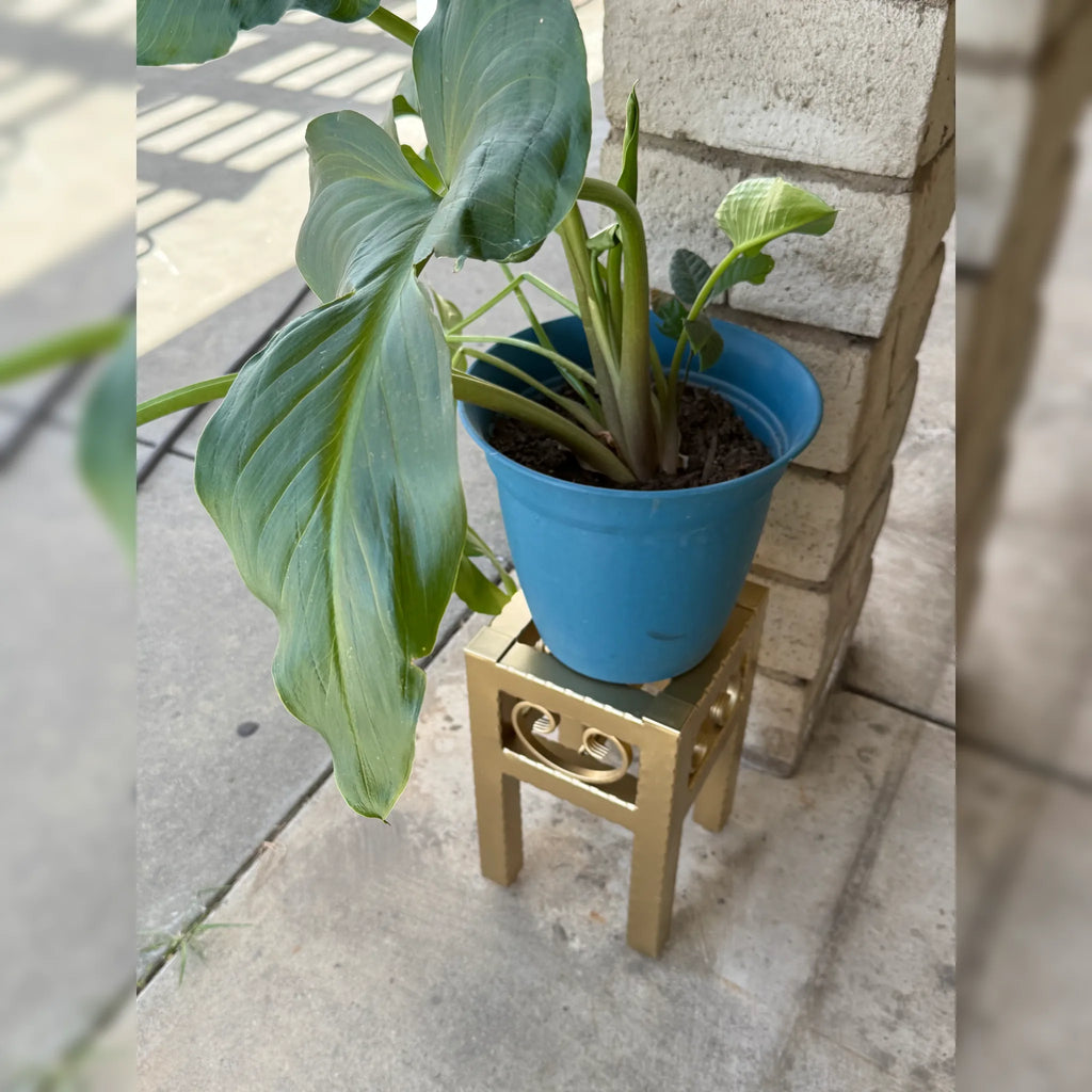 Small Metal Box Planter Stand