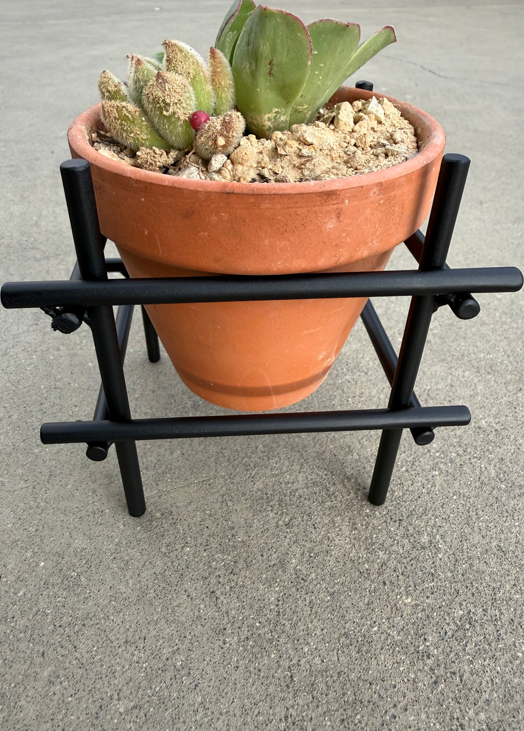 Hollow Cube Terracotta Planter Stand — Minimalist Iron Rod Plant Stand for 4" Pots | Flat Black | Made in the USA