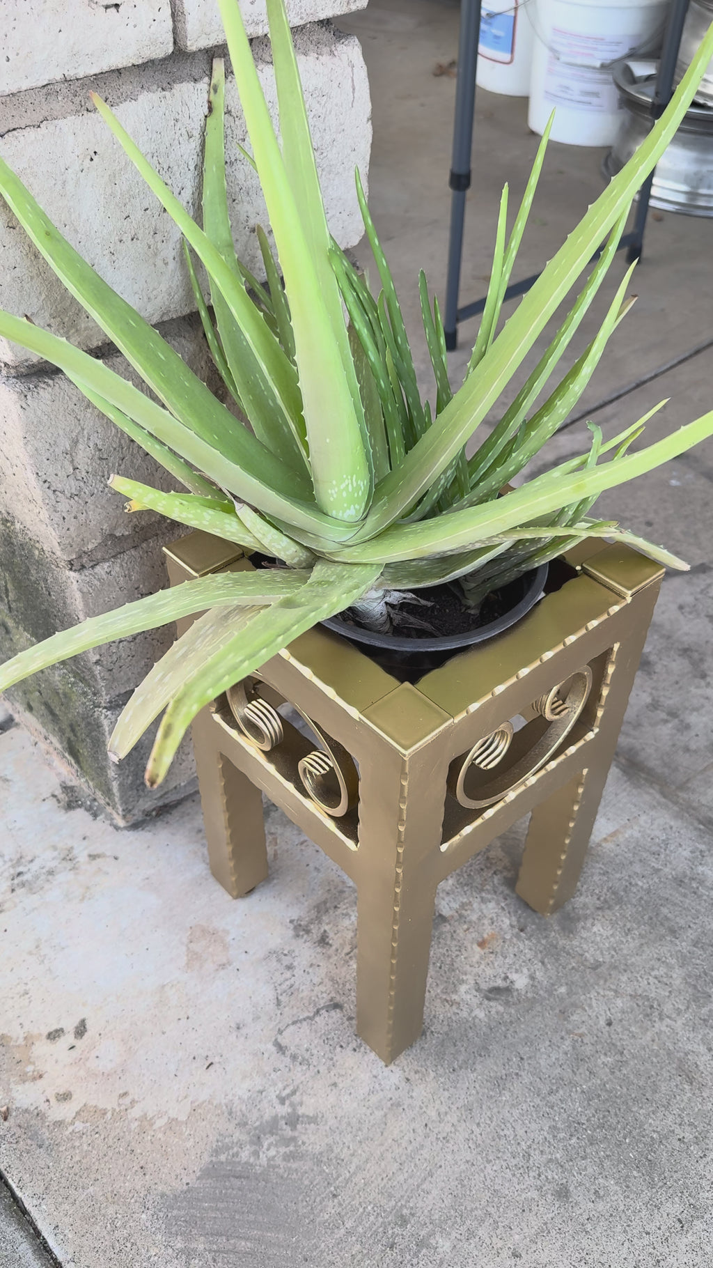 Small Metal Plant Stand – Decorative Indoor Outdoor Steel Planter (Black, Gold, Bronze)