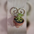 Heart Shaped Terracotta Wall Stand