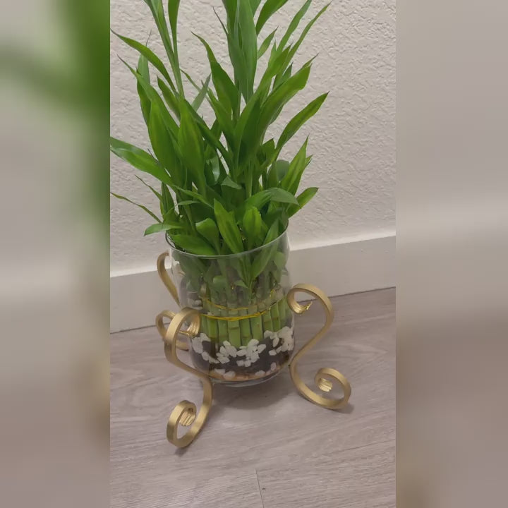 X-Shaped S-Scroll Iron Planter Stand