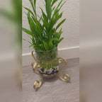 X-Shaped S-Scroll Iron Planter Stand