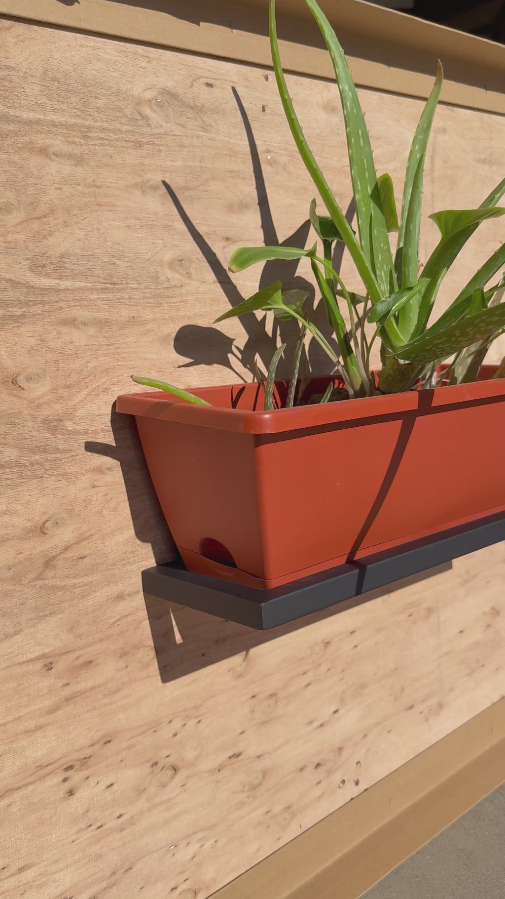 Rectangular Ring Wall Hung Planter Stand — Modern Metal Wall Planter Holder | Made in the USA