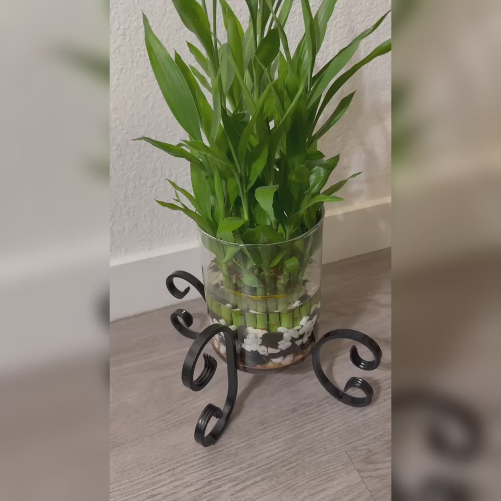 X-Shaped Planter Stand