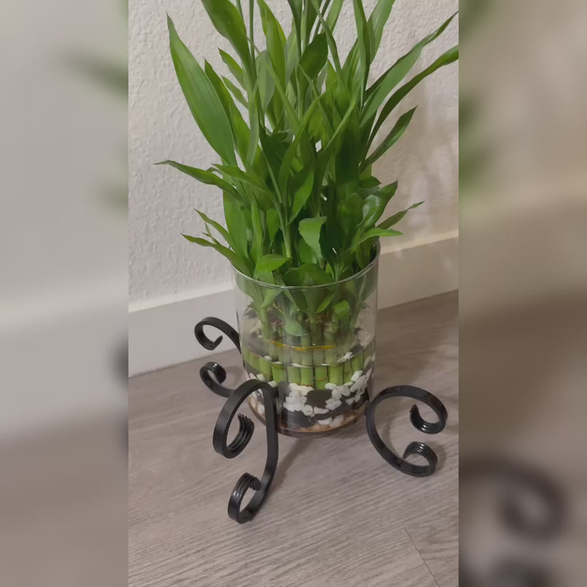 X-Shaped Planter Stand