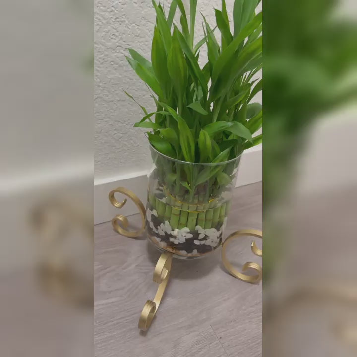 X-Shaped C-Scroll Planter Stand