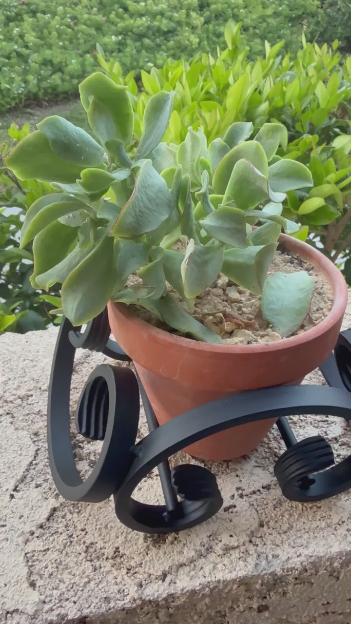 Full C-Scroll Terracotta Metal Plant Stand