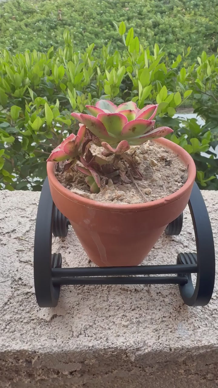 Semi C-Scroll Terracotta Metal Plant Stand