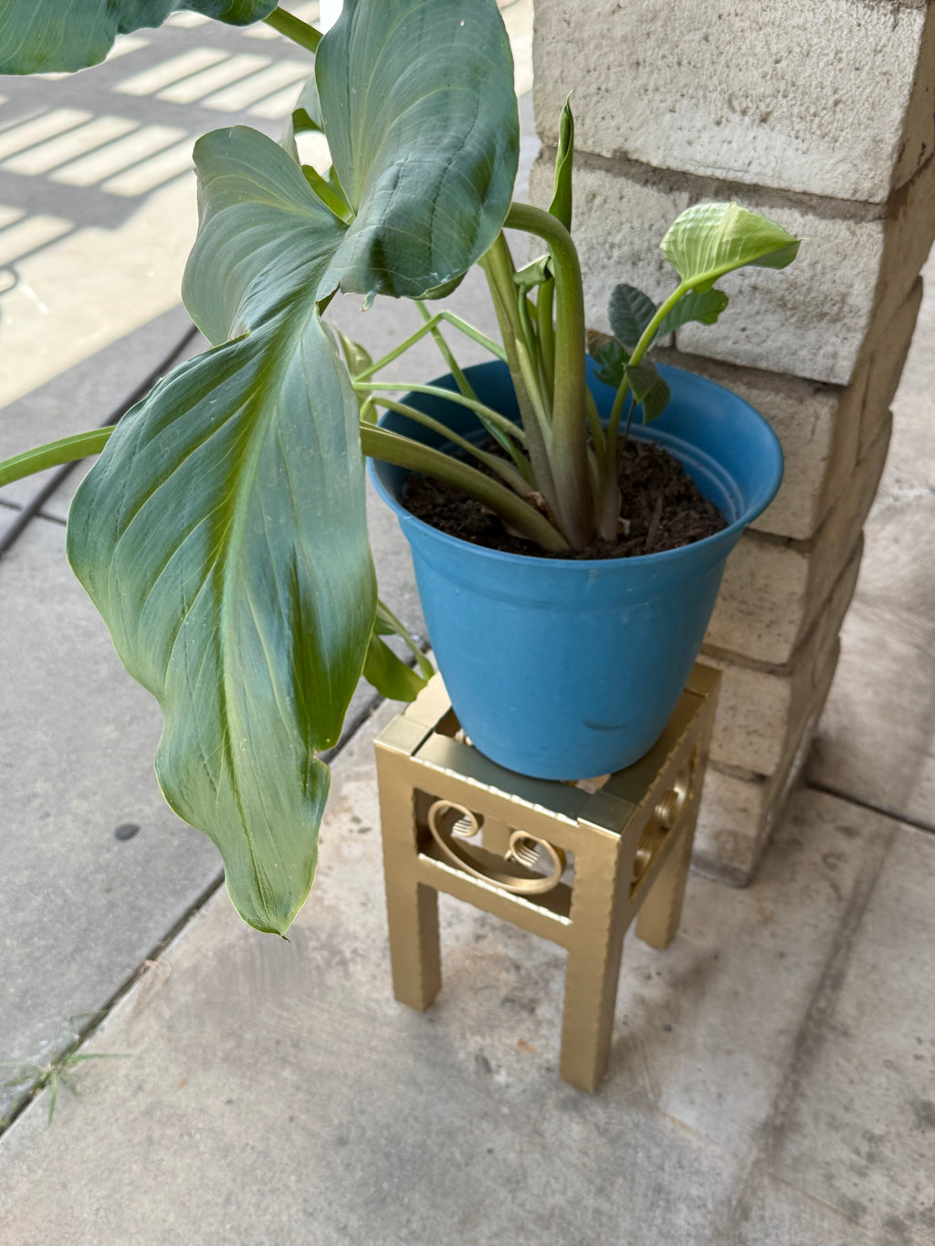 Small Metal Plant Stand – Decorative Indoor Outdoor Steel Planter (Black, Gold, Bronze)