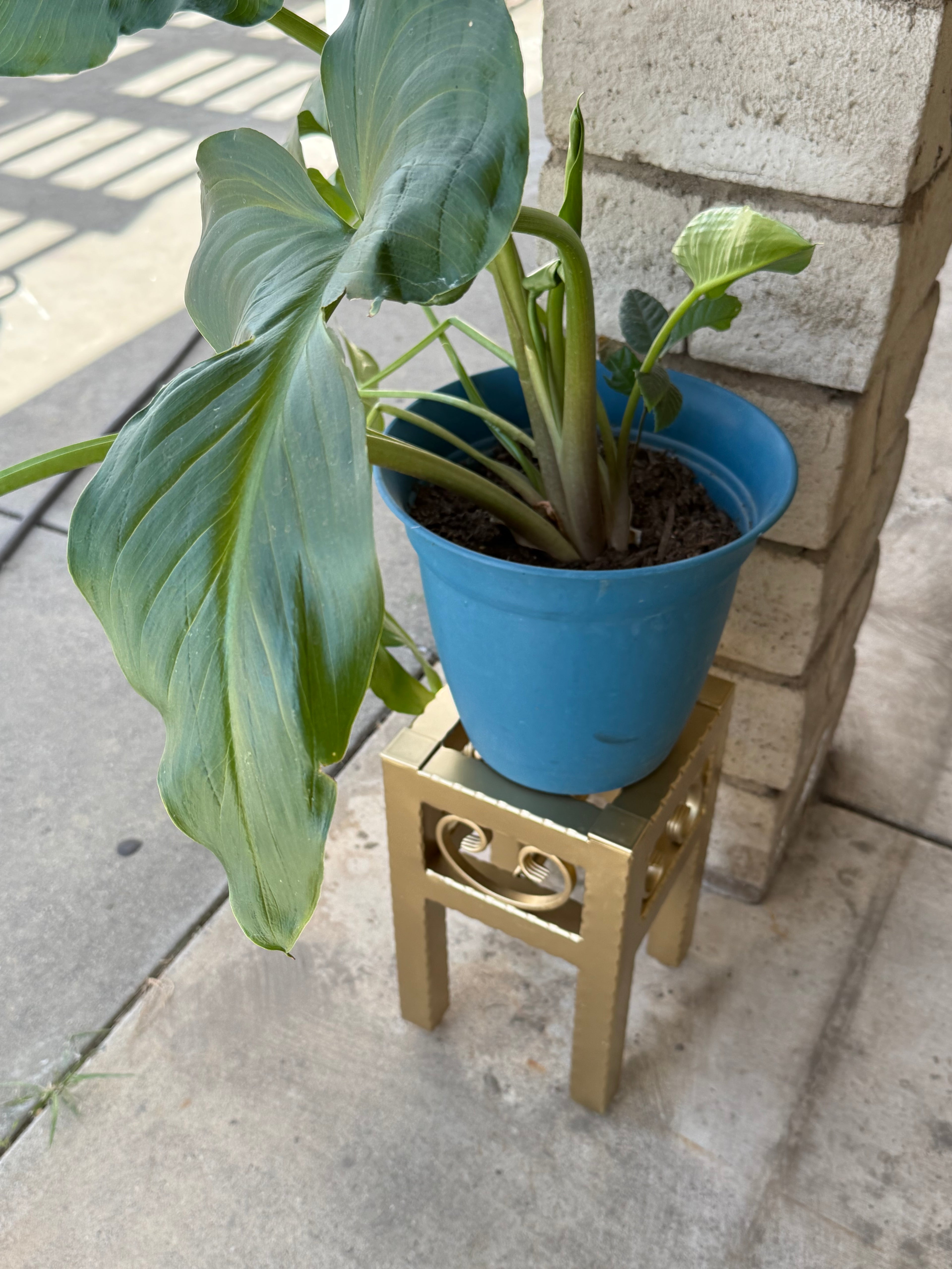 Small Metal Plant Stand – Decorative Indoor Outdoor Steel Planter (Black, Gold, Bronze)