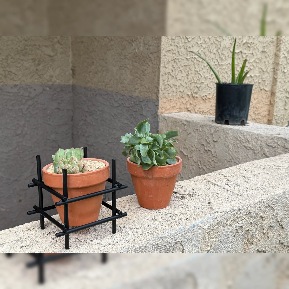 Hollow Cube Terracotta Planter Stand