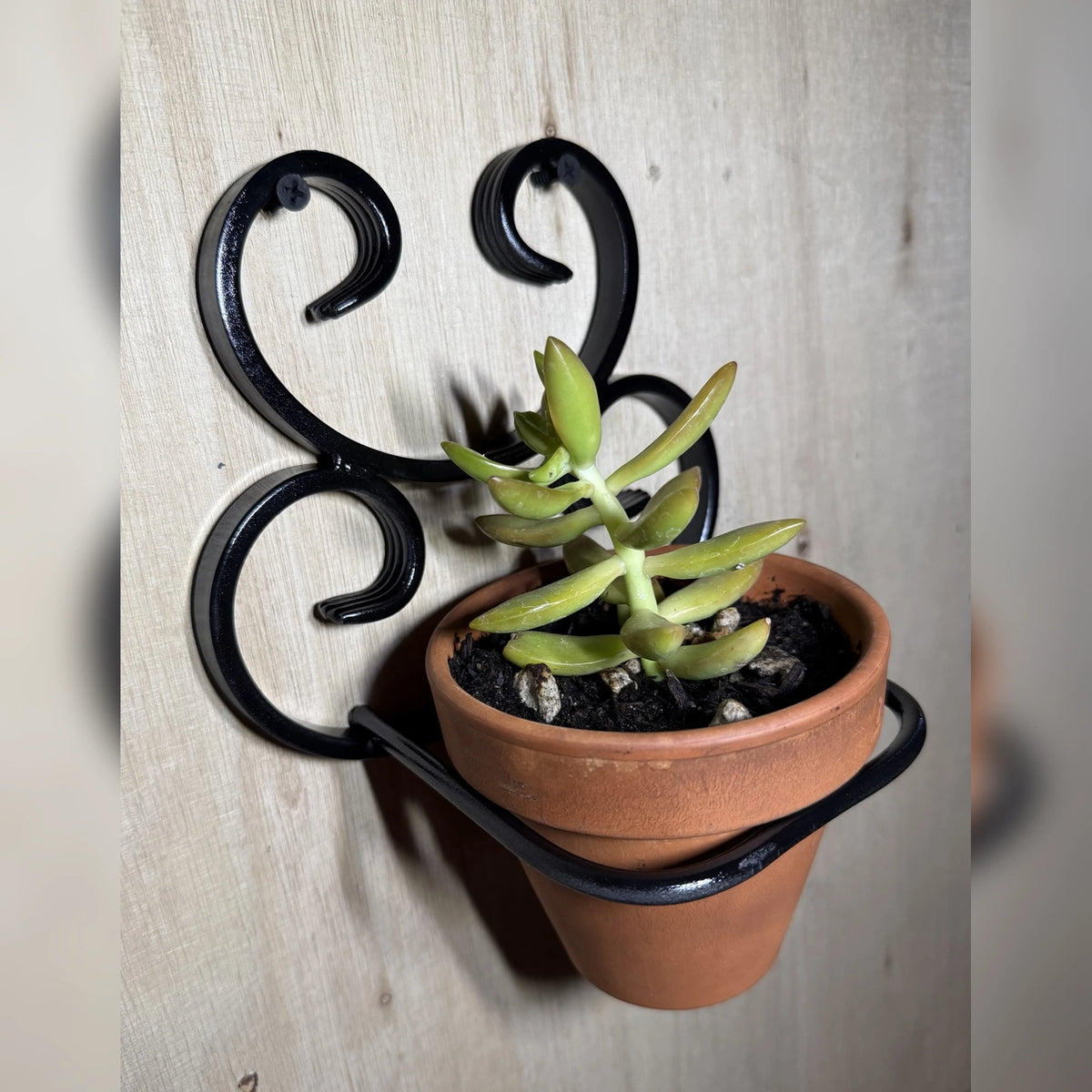 Wall Hung Terracotta Stand