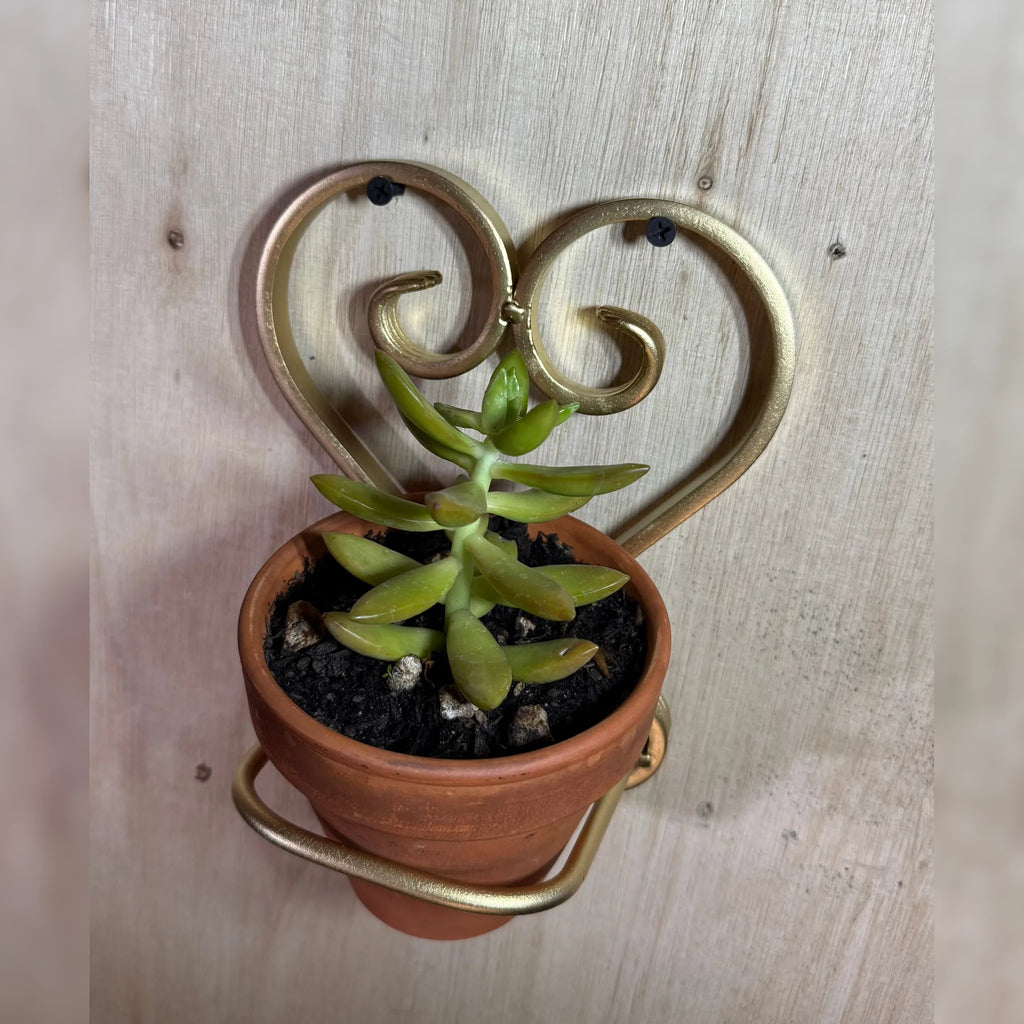 Heart Shaped Terracotta Wall Stand