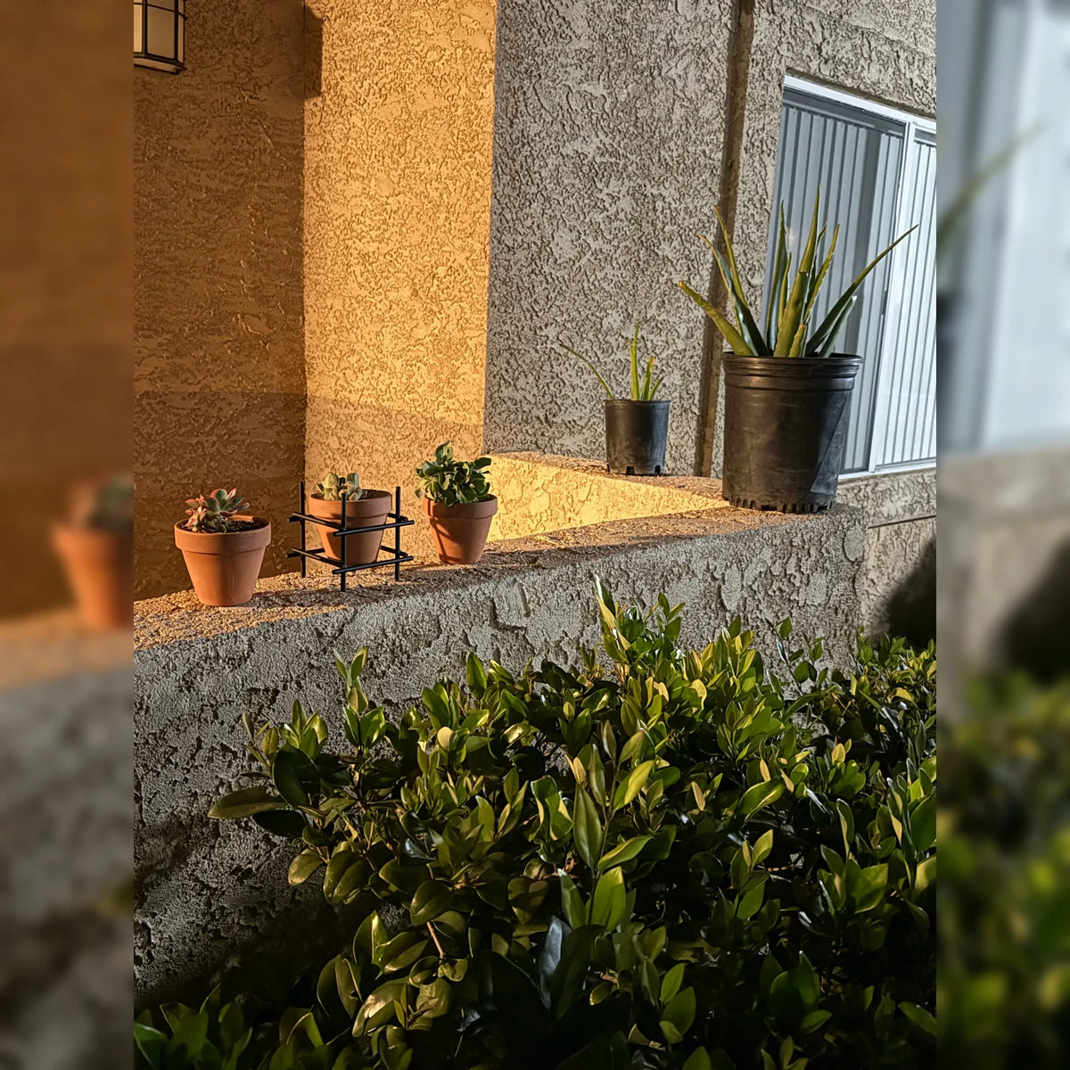 Full C-Scroll Terracotta Metal Plant Stand