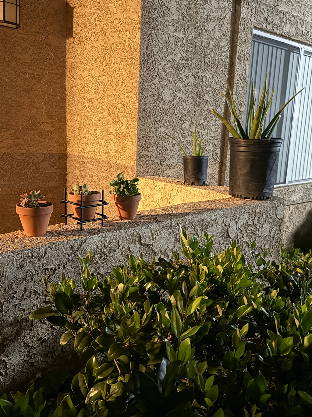 Hollow Cube Terracotta Planter Stand — Minimalist Iron Rod Plant Stand for 4" Pots | Flat Black | Made in the USA