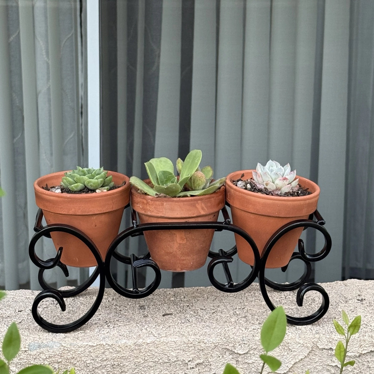 Triple C-Scroll Terracotta Metal Planter Stand