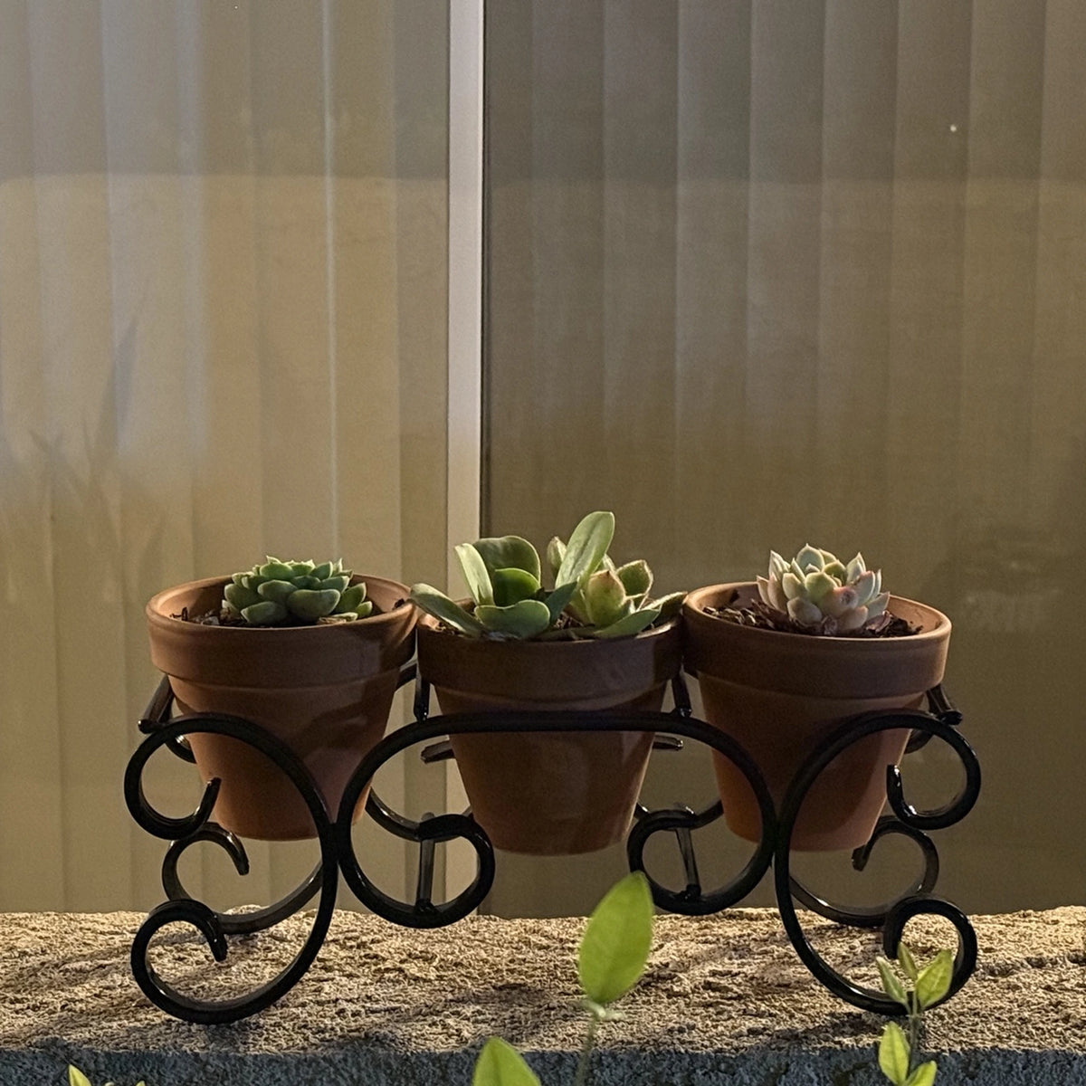 Triple C-Scroll Terracotta Metal Planter Stand