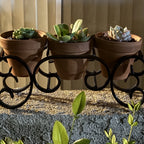 Triple C-Scroll Terracotta Metal Planter Stand