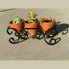 Triple C-Scroll Terracotta Metal Planter Stand