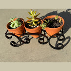 Triple C-Scroll Terracotta Metal Planter Stand
