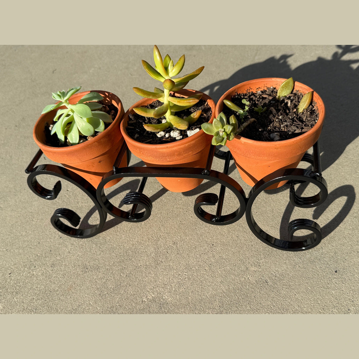 Triple C-Scroll Terracotta Metal Planter Stand