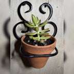 Wall Hung Terracotta Stand
