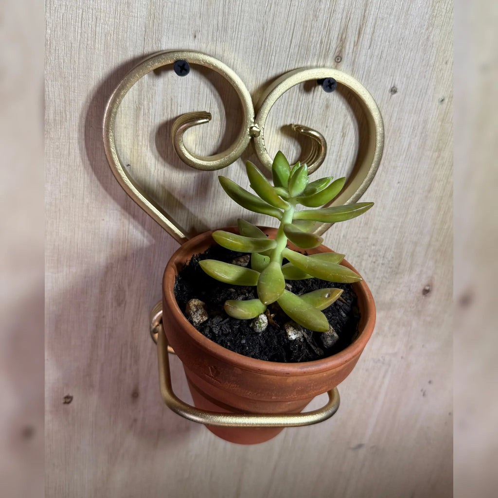 Heart Shaped Terracotta Wall Stand