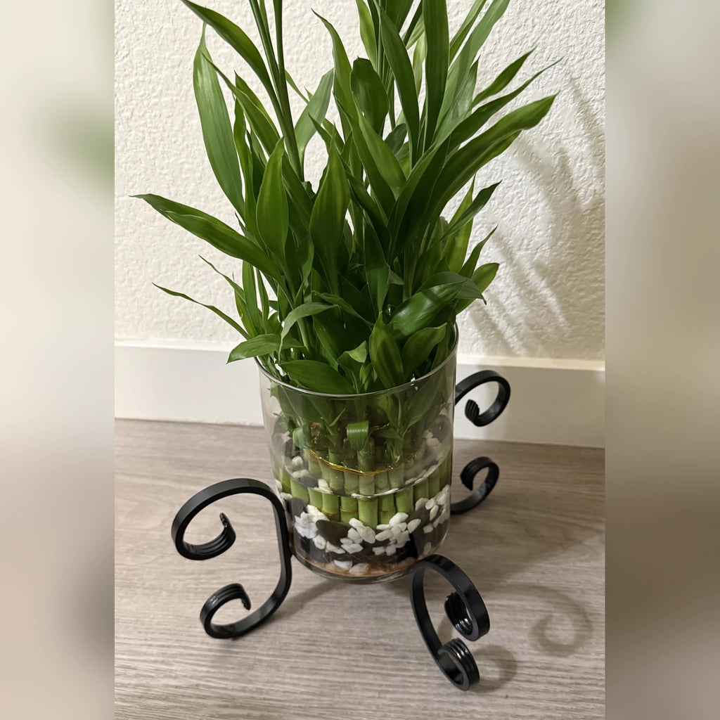 X-Shaped Planter Stand