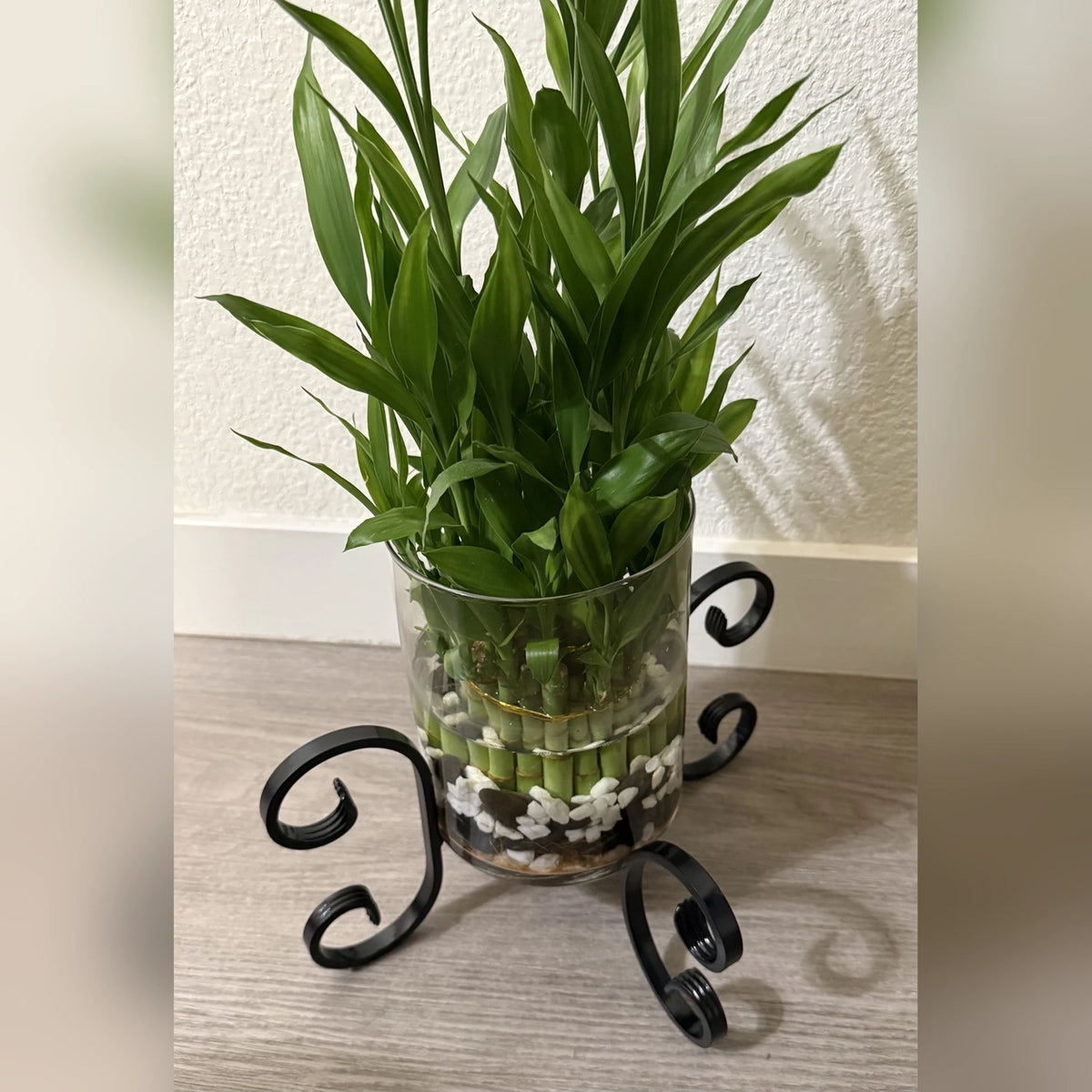 X-Shaped Planter Stand