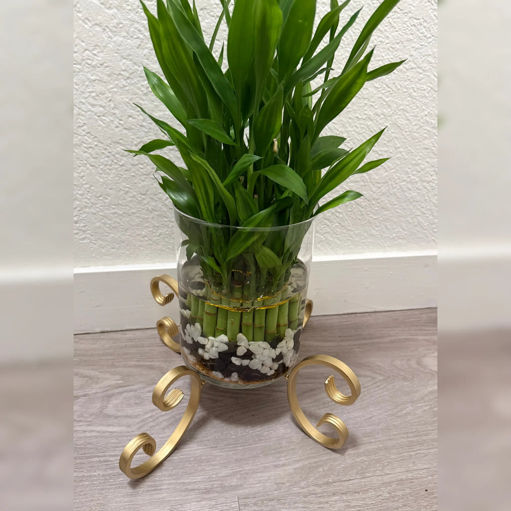 X-Shaped C-Scroll Planter Stand