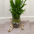 X-Shaped C-Scroll Planter Stand
